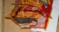 Chuột chết khô trong gói bim bim